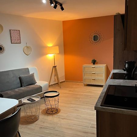 Joli Appart/Vue Etang/Clim /Wifi 巴拉吕克莱班 外观 照片