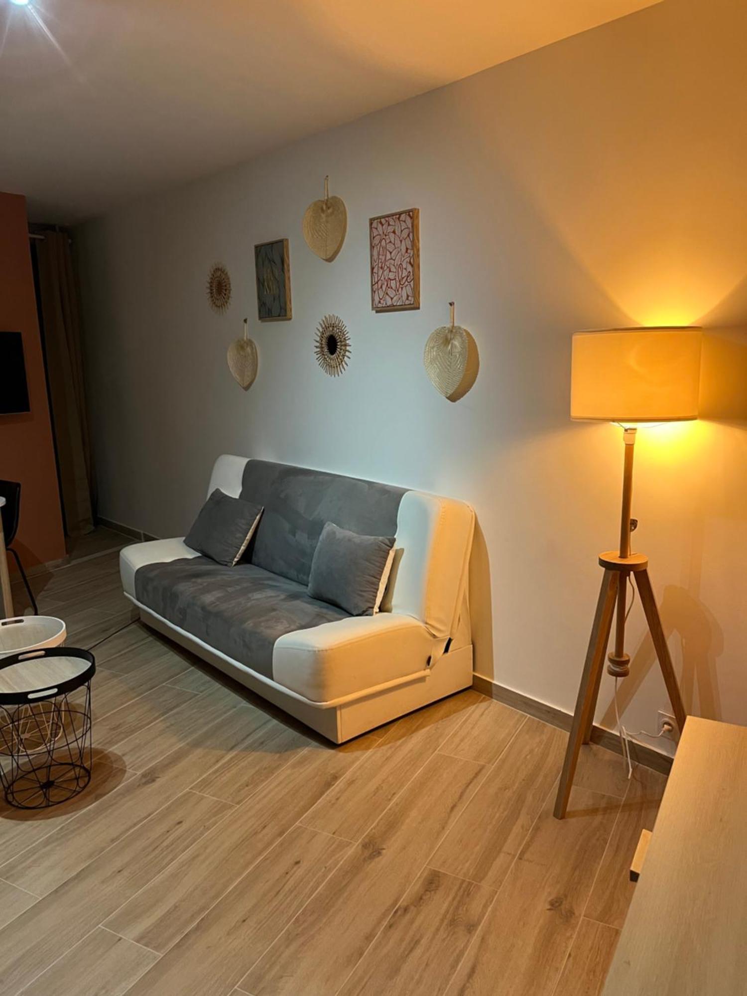 Joli Appart/Vue Etang/Clim /Wifi 巴拉吕克莱班 外观 照片