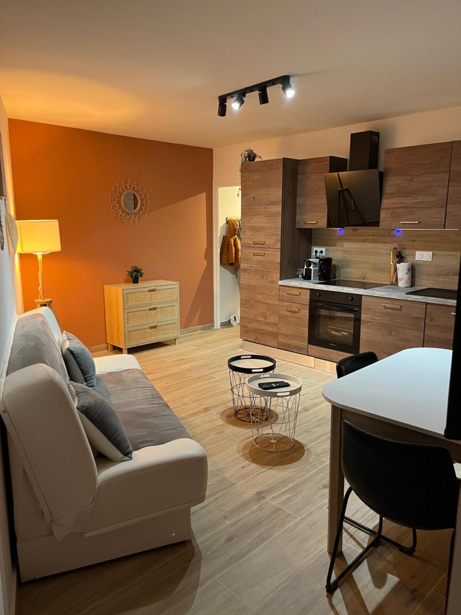 Joli Appart/Vue Etang/Clim /Wifi 巴拉吕克莱班 外观 照片